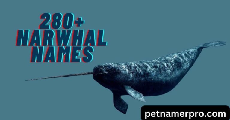 280+ Narwhal Names with Meanings & AI Generator: Cute, Funny & More!