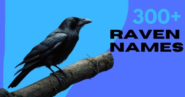 300+ Raven Names Unique & Funny with Meanings & AI Generator