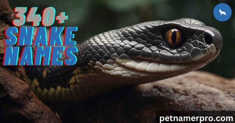 340+ Snake Names Cool, Funny & Unique With Meanings & AI Generator