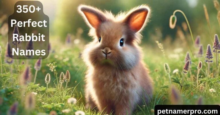 350+ Perfect Rabbit Names With Meanings And [Ai Generator]