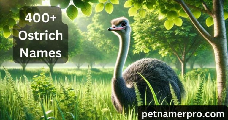 400+ Ostrich Names: Cute, Funny, Unique Ideas & Meanings (+Generator)