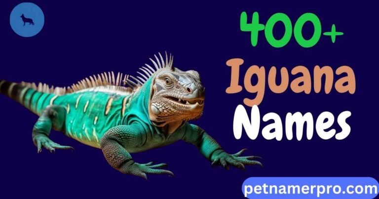 400+ Unique Iguana Names With Meanings & Generator