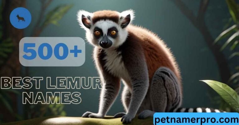 500+ Best Lemur Names: Cute, Funny, With Meanings & Generator