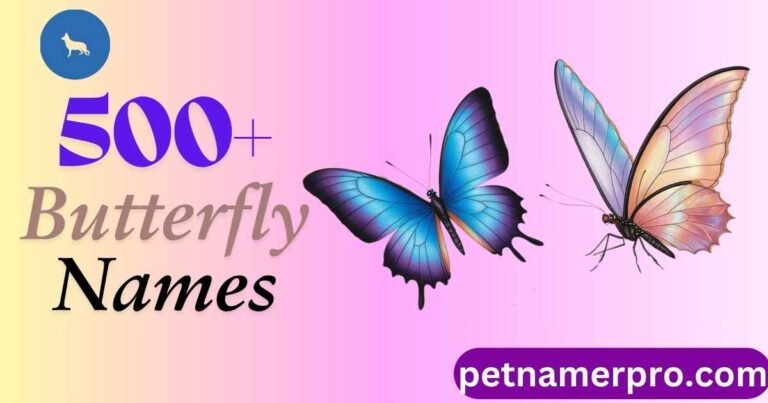 500+ Butterfly Names Creative Ideas Meaning And Generator