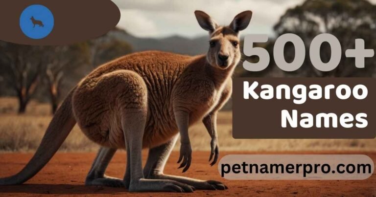 500+ Cute & Funny Kangaroo Names + AI Name Generator