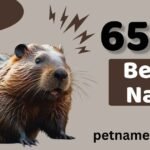 650+ Unique Beaver Names with Meanings & Name Generator