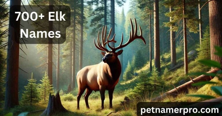 700+ Elk Names With Meanings & AI Name Generator