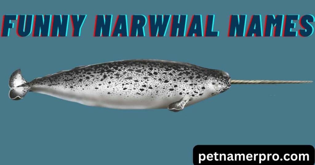 Funny Narwhal Names