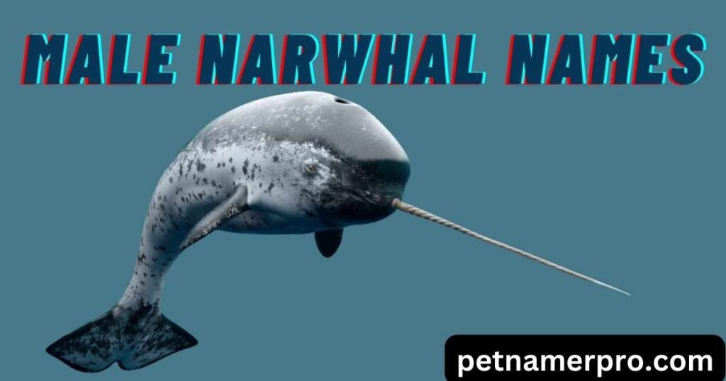 Male Narwhal Names