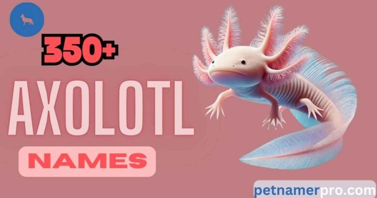 300+ Axolotl Names: Creative, Fun, and Unique Ideas for Your Pet