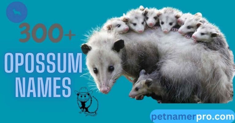 300+ Cute Opossum Names With Meanings + AI Generator