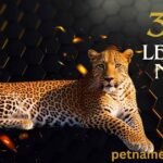 340+ Leopard Names with Meanings & Ai Generator