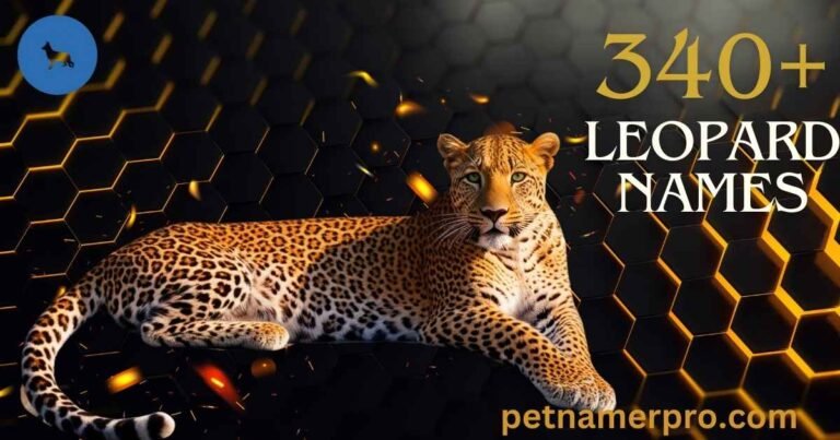 340+ Leopard Names with Meanings & Ai Generator