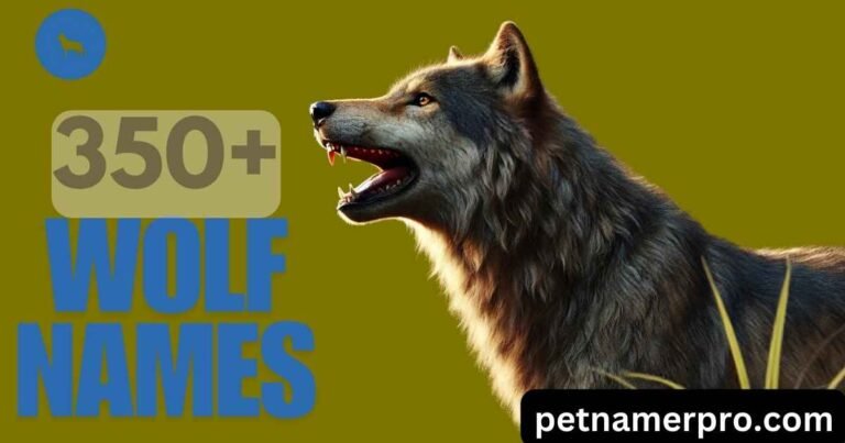 350+ Best Wolf Names With Meanings (Including AI Generator)