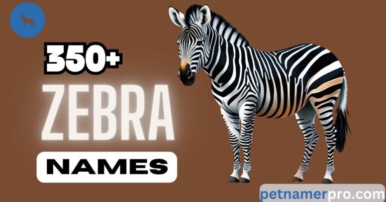 350+ Best Zebra Names With Meanings & Generator