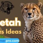 350+ Cheetah Names Ideas (Meanings & Generator)