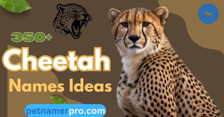 350+ Cheetah Names Ideas (Meanings & Generator)