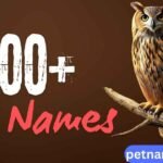 400+ Best Owl Names for Your Pet With Meanings & Ai Generator