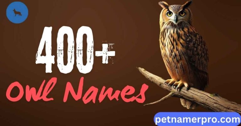 400+ Best Owl Names for Your Pet With Meanings & Ai Generator