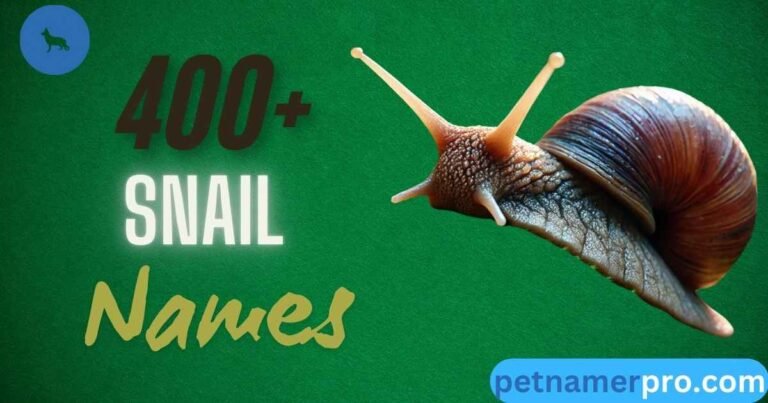 400+ Snail Names With Meanings & Generator