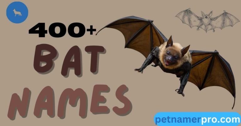 400+ Unique Bat Names With Meanings & Generator