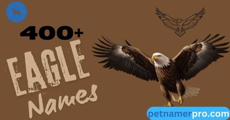 400+ Unique Eagle Names With Meanings & Ai Generator