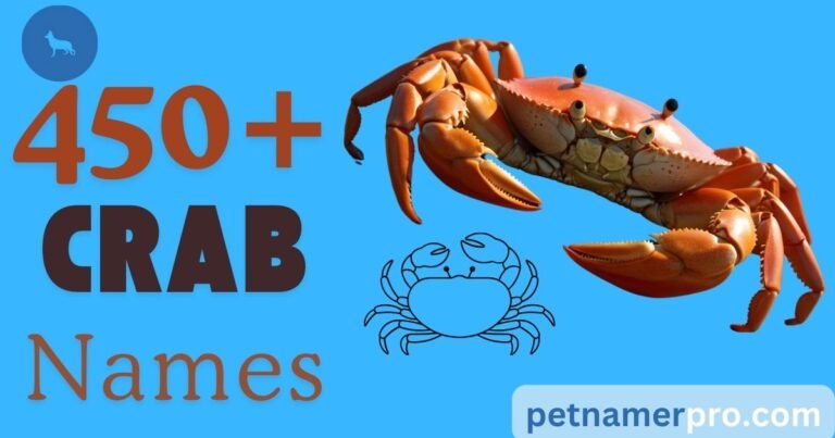 450+ Best Crab Names Ideas With Meanings & Generator