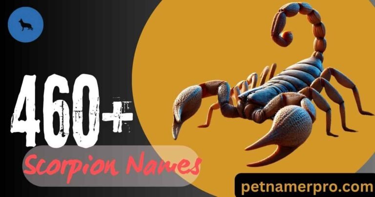 460+ Scorpion Names: Epic Ideas & Meanings & Ai Generator