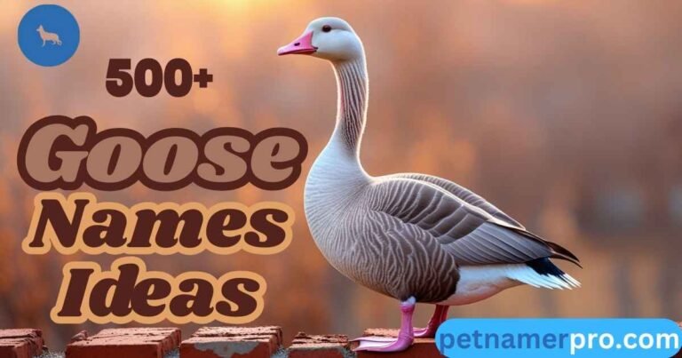 500+ Best Goose Names Ideas to Inspire and Delight