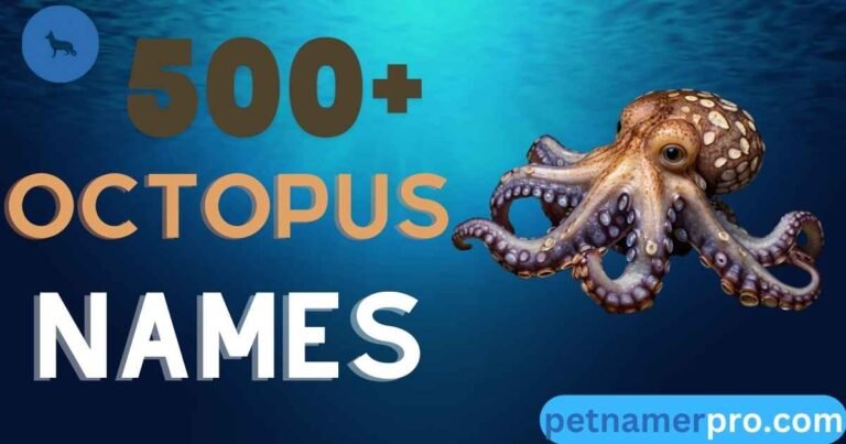 500+ Octopus Names: Creative, and Unique Ideas & Generator