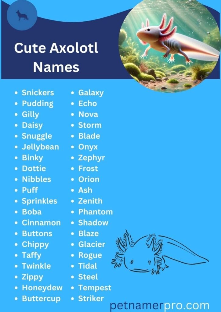 Cute Axolotl Names