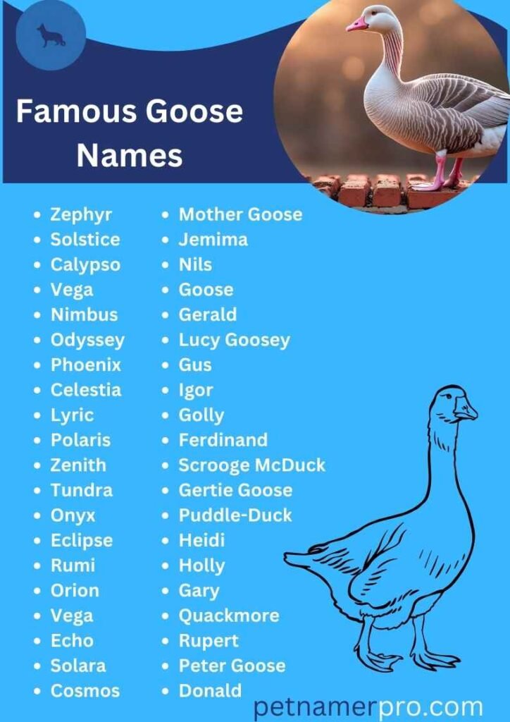 Famous Goose Names