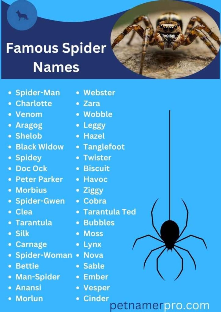 Famous Spider Names