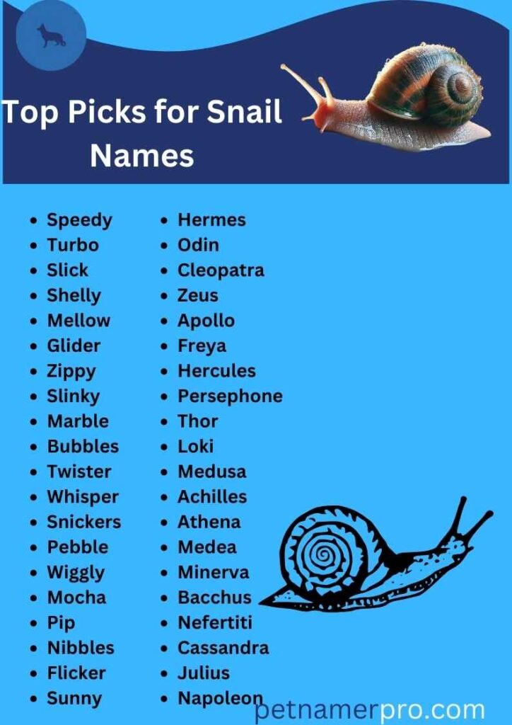 Top Picks for Snail Names