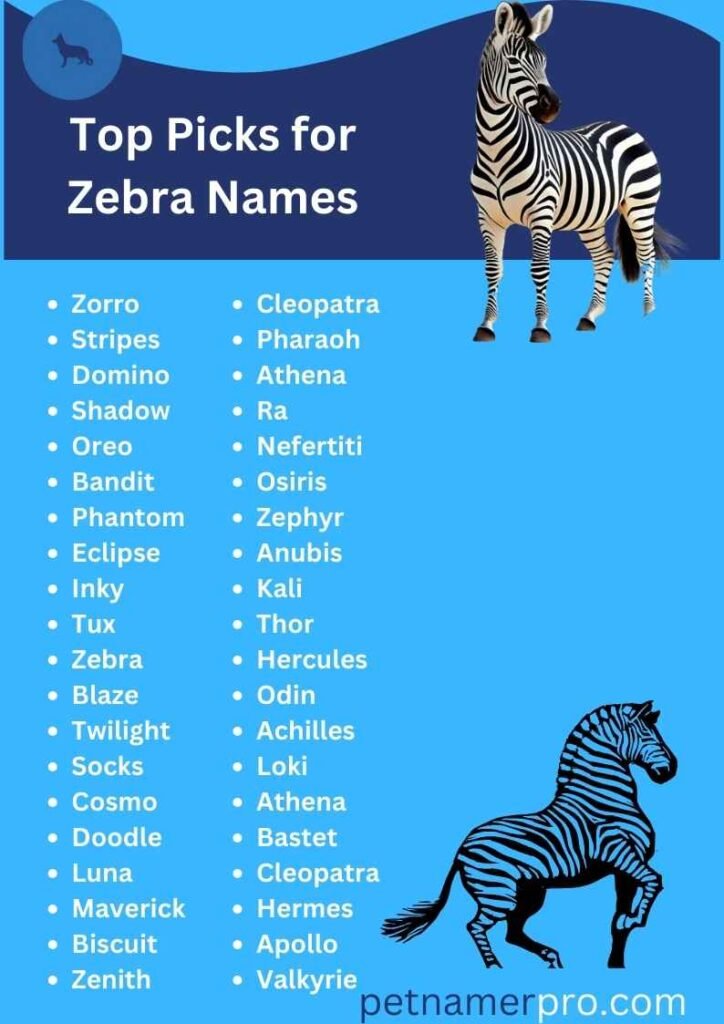 Top Picks for Zebra Names