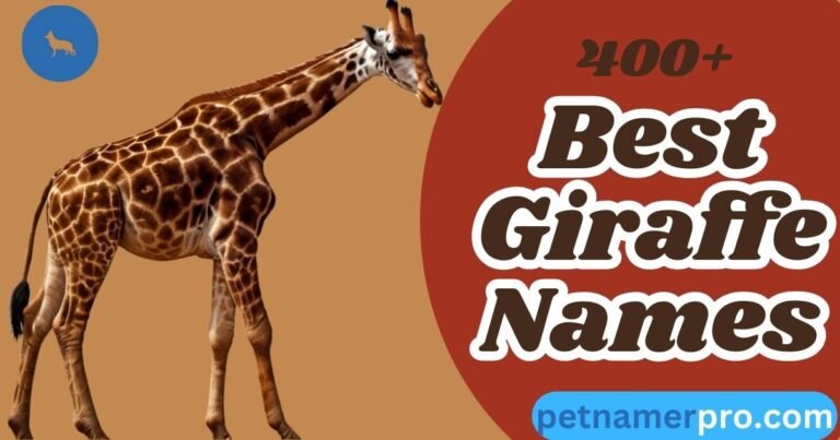 400+ Unique and Best Giraffe Names With Meanings