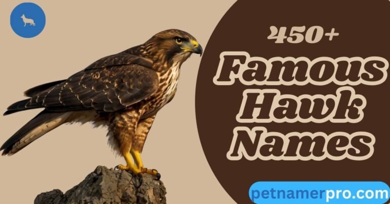 450+ Best and Famous Hawk Names With Meanings [+ Generator]