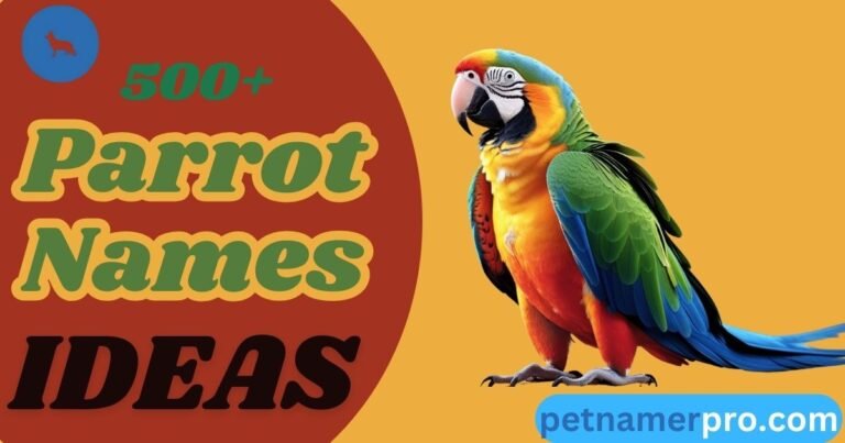 500+ Parrot Names for Your Feathered Friend Creative Ideas