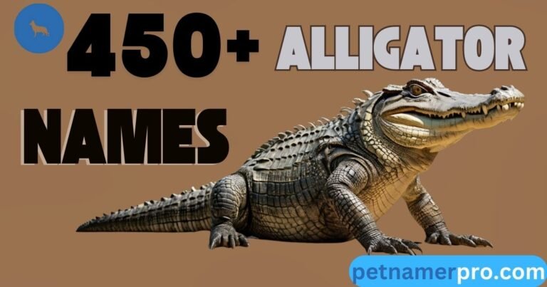 Alligator Names 450+ Unique, Creative, and Fun Ideas