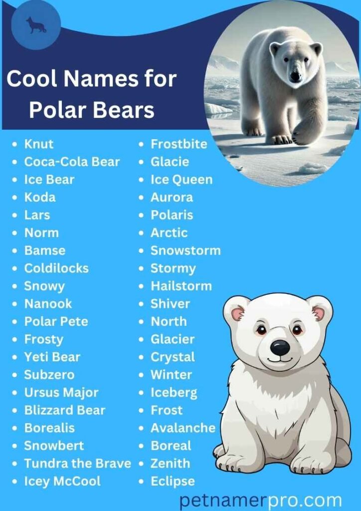 Cool Names for Polar Bears