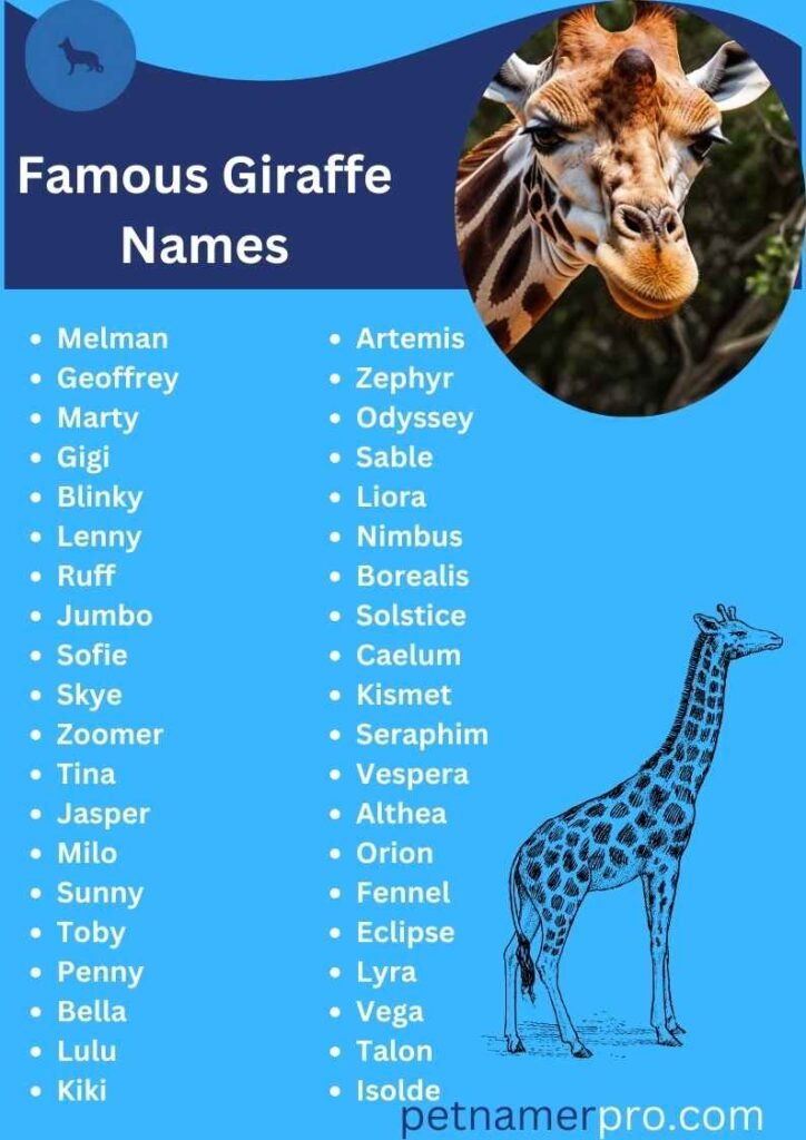 Famous Giraffe Names