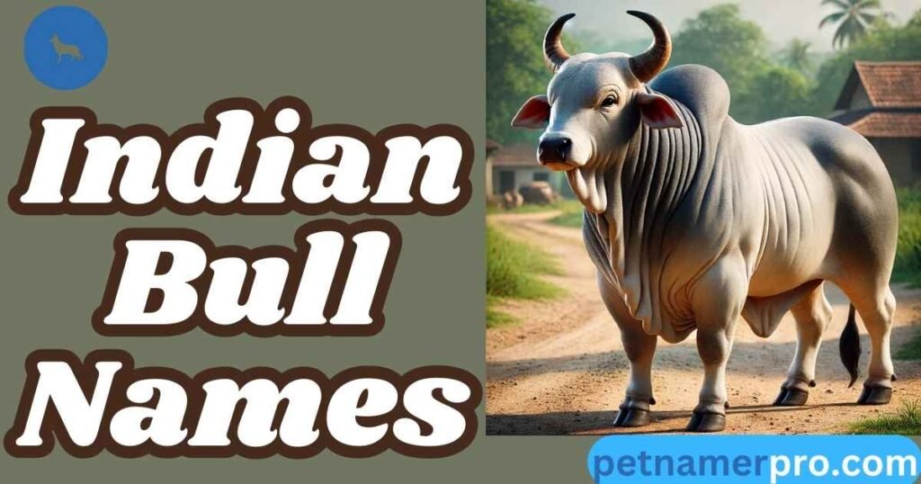 Indian Bull Names