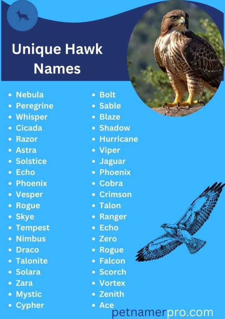 Unique Hawk Names